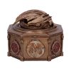 House of the Dragon Syrax Box