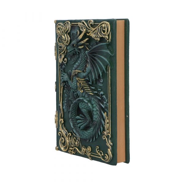Dragon's Grimoire Journal - Image 2