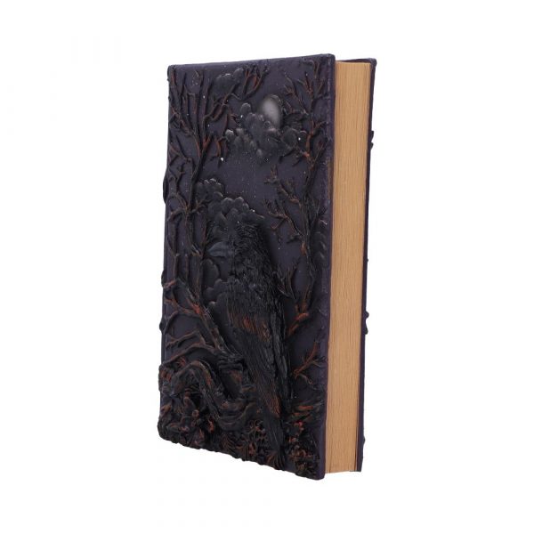 Raven's Grimoire Journal - Image 2