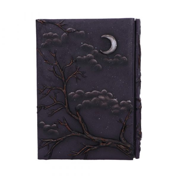 Raven's Grimoire Journal - Image 3
