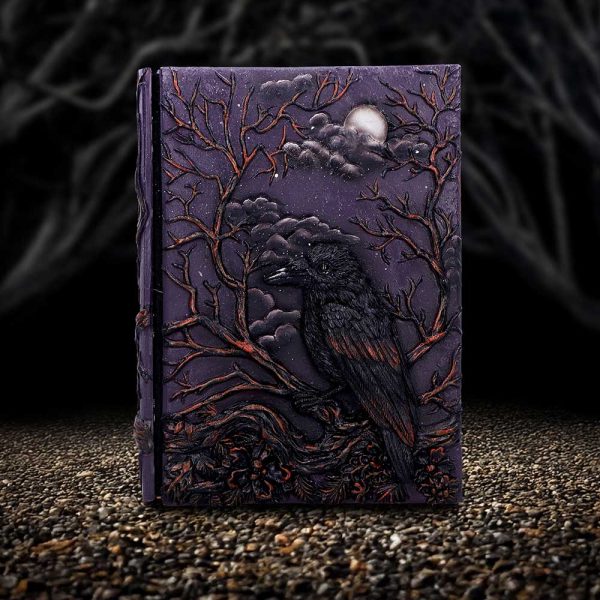 Raven's Grimoire Journal - Image 5