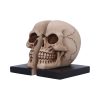 Final Chapter Bookends - Image 2