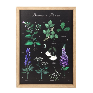 Poisonous Plants Framed Wall Art Print